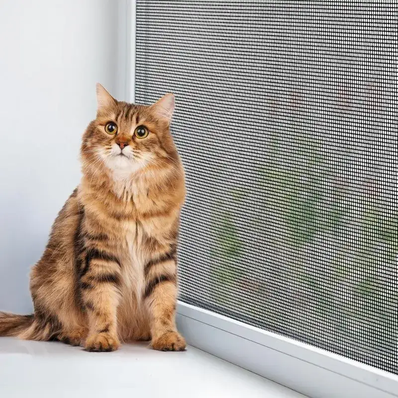 Pet-resistant insect screen thumbnail 2