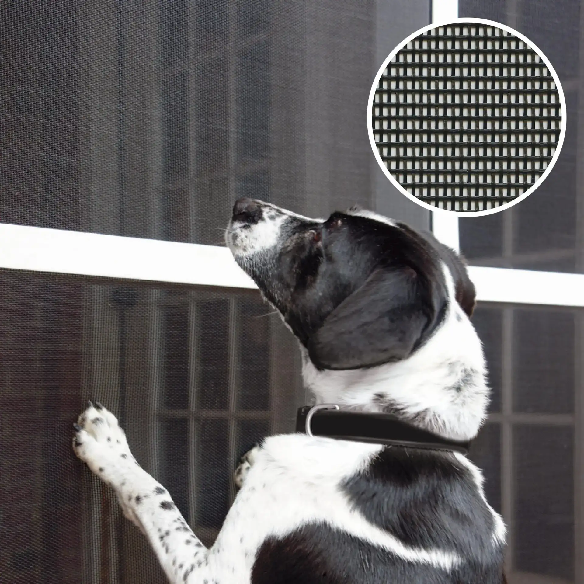 Pet-resistant insect screen thumbnail 3