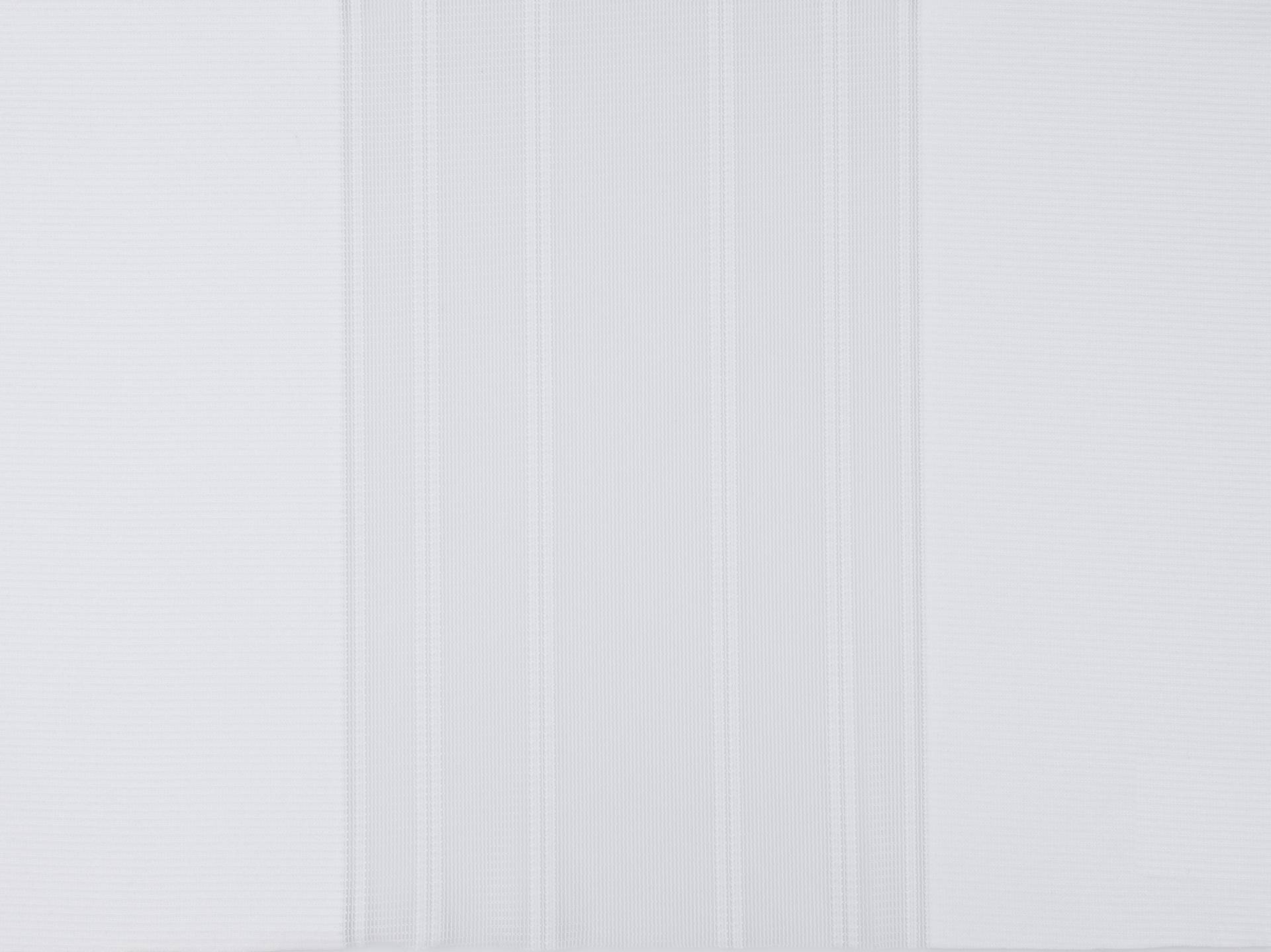 Linea 01